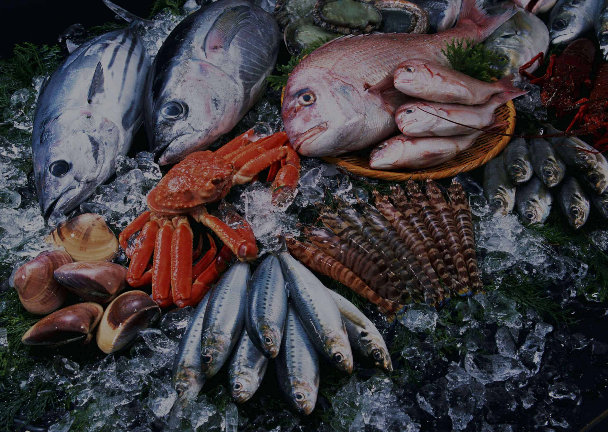 珍珠蚌（壳顶部刻纹常为同心圆型的蛤类）_尚可名片